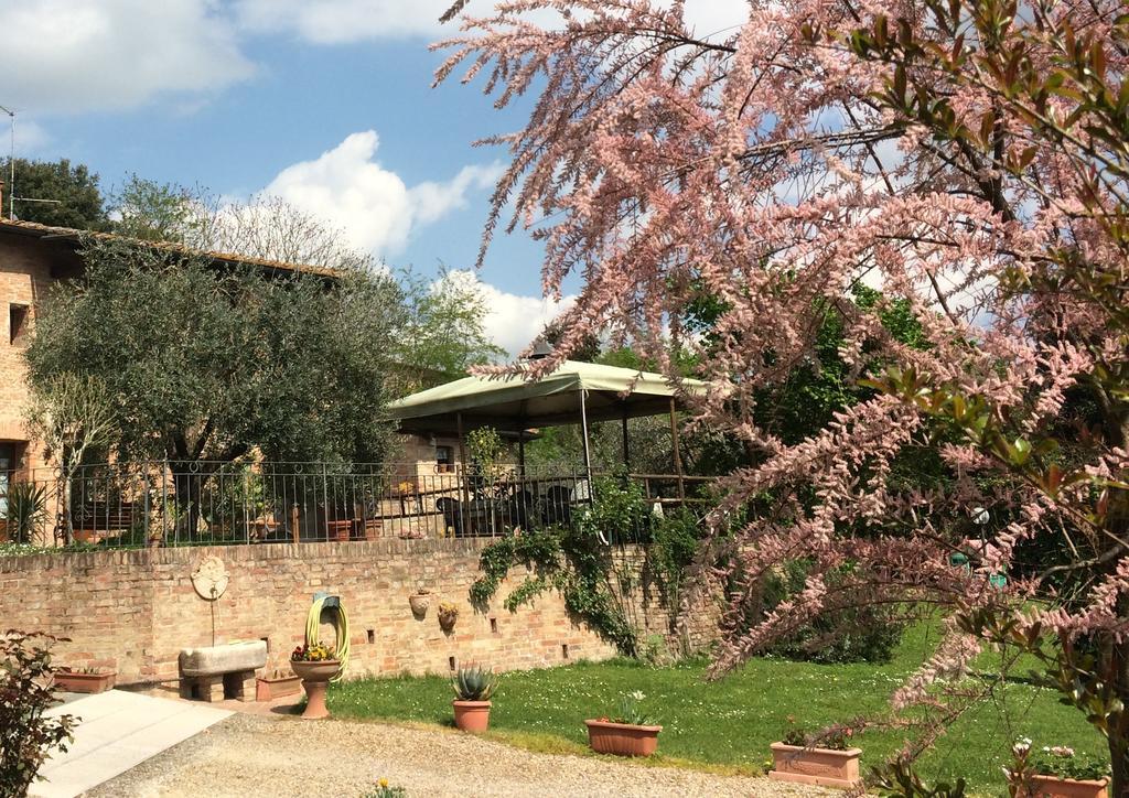 Podere Il Pero Σιένα Εξωτερικό φωτογραφία