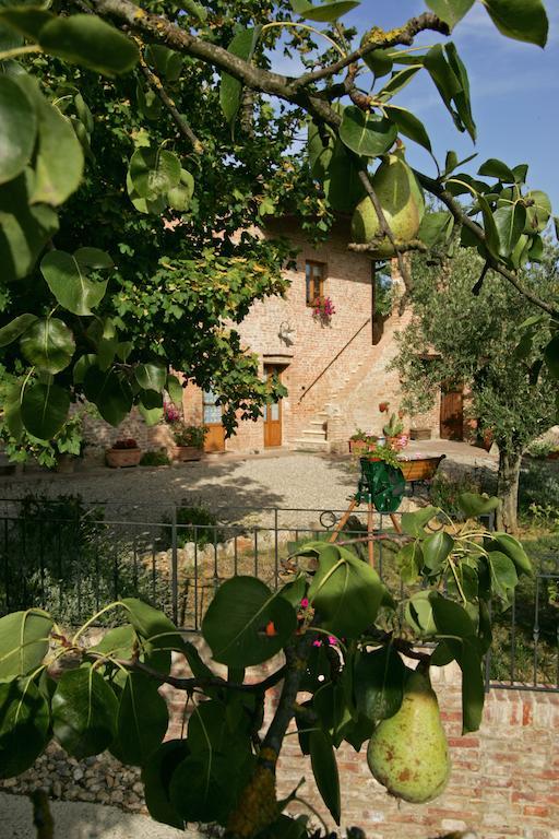 Podere Il Pero Σιένα Εξωτερικό φωτογραφία