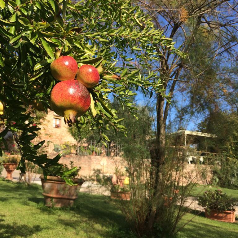 Podere Il Pero Σιένα Εξωτερικό φωτογραφία